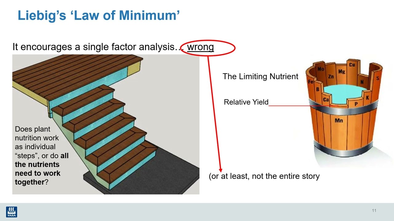 Making Micronutrient Fertilizer Recommendations by Dr Rob Mikkelsen