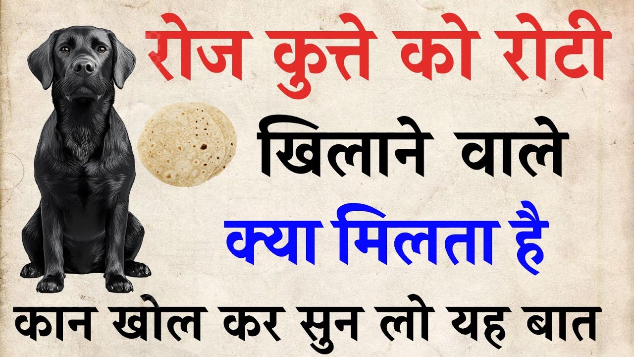 रोज कुत्ते को रोटी खिलाने वाले कान खोलकर सुन लो यह बात |  | धर्म और विज्ञान की सच्चाई