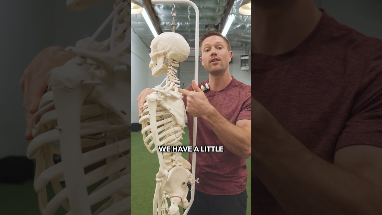 The Myth Of &ldquo;Thoracic Mobility&rdquo; - Stop Doing This! #mobility #posture #mobilitytraining