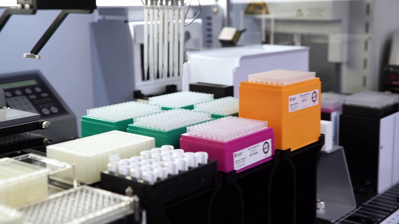 How Automation Helps Improve Your ELISA