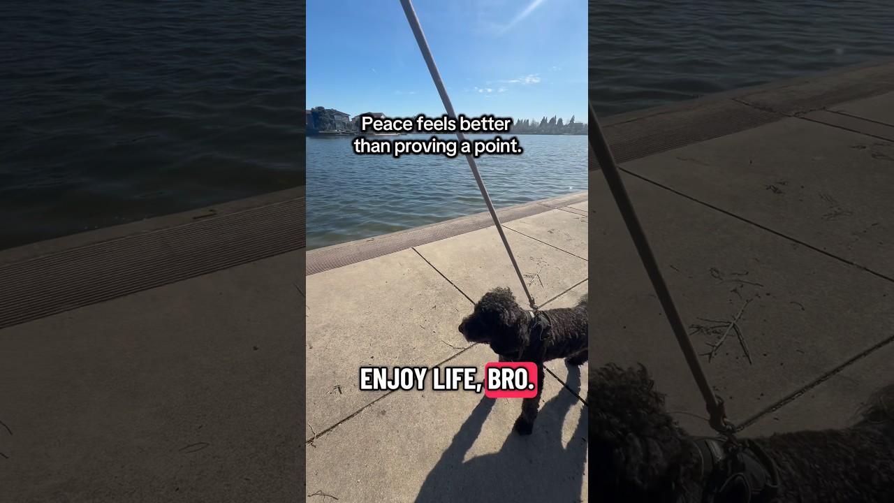 No rush. No noise. Just sun, water, and perspective. 🐾#EnjoyLife #DogDad #PeacefulVibes #TouchGrass