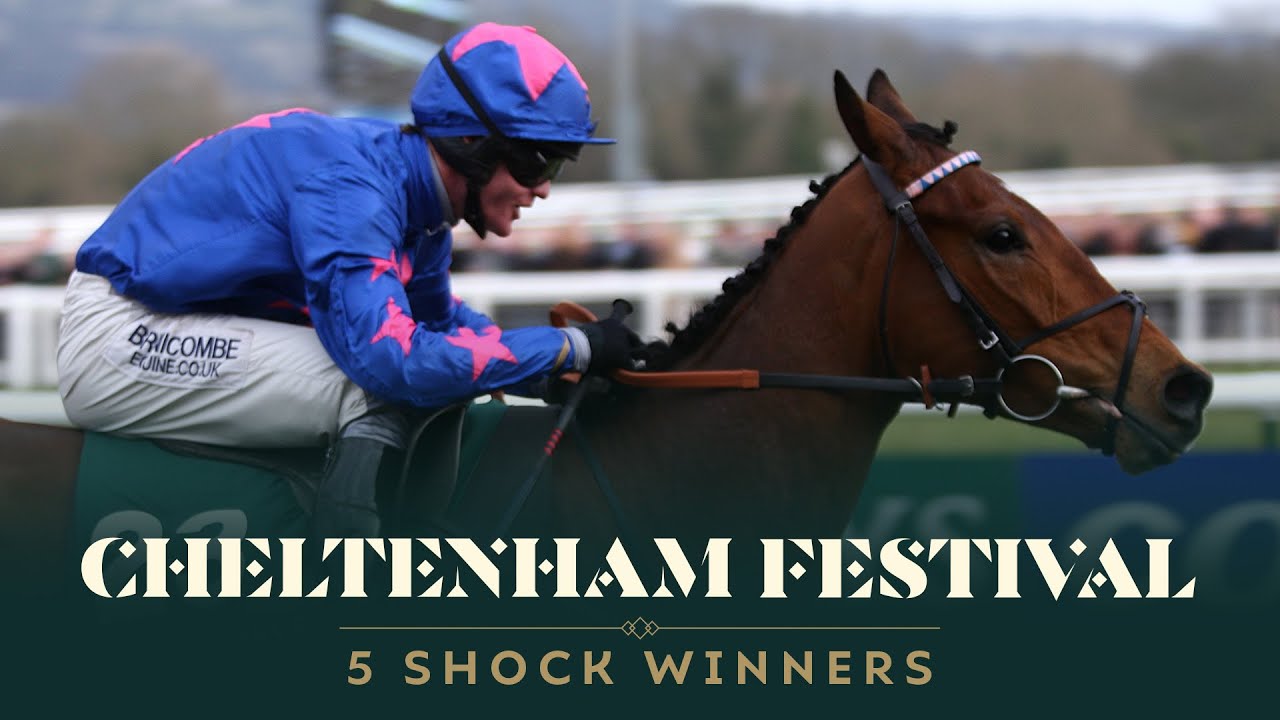 CHELTENHAM FESTIVAL MOMENTS THAT LEFT US LIKE 😲
