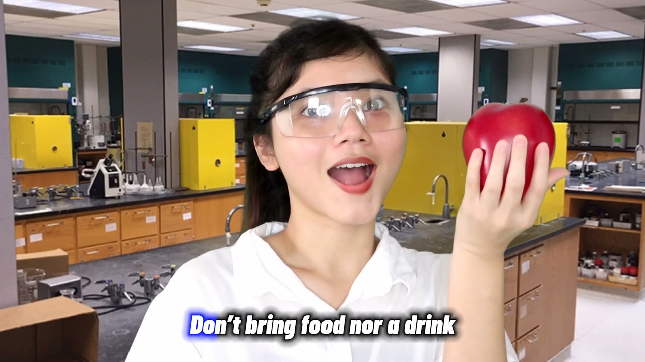 LAB CONDUCT - Dua Lipa 