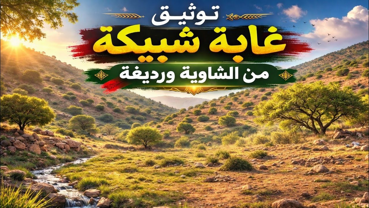 توثيق غابة شبيكة | 2026 | غابة البادية الشاوية ورديغة | مزرعة الطبيعة 