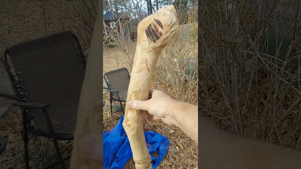 Walking stick video. 3. David Redmon