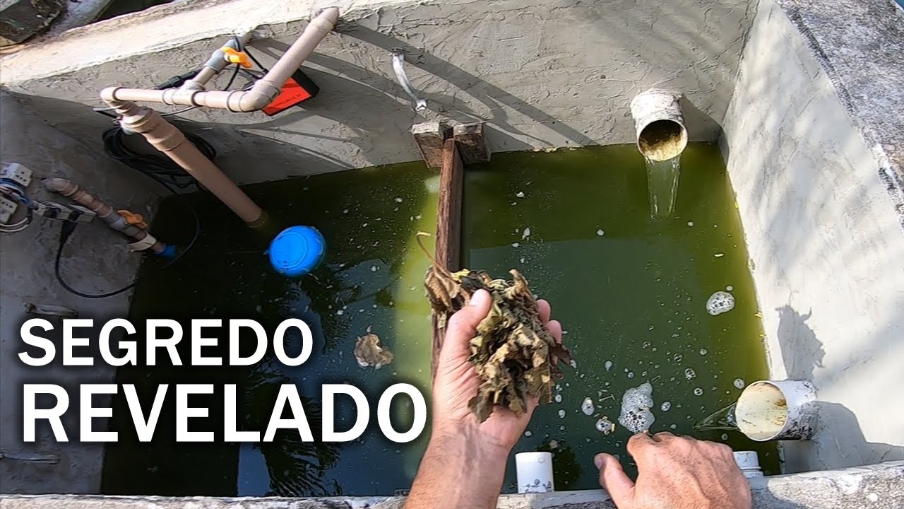 SEGREDO REVELADO, VAI FAZER UM LAGO?  NÃO FALE QUE EU NÃO AVISEI PARTE 2 Canal Saalada