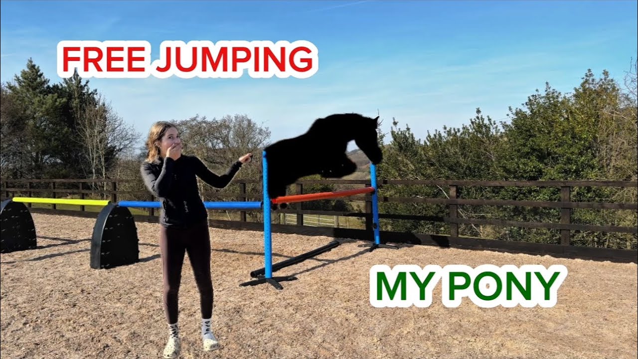 FREEJUMPING MY HORSES ~ part 1