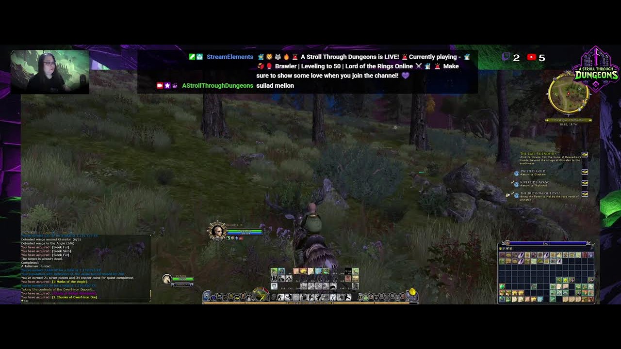 🧙‍♂️🍂🥊  Brawler | Leveling to 50 | Lord of the Rings Online ⚔️🧙‍♂️