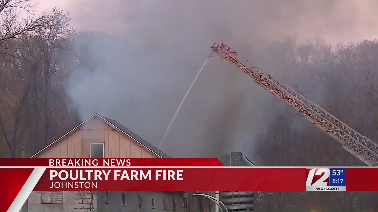 Around 3,000 chickens killed in Johnston poultry farm fire