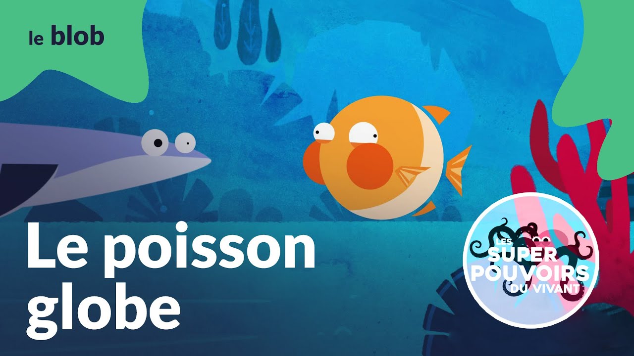Le poisson-globe, l’ingénieur amoureux | Les super-pouvoirs du vivant