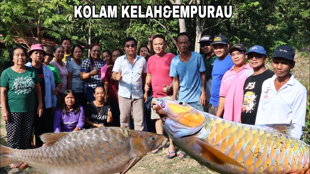 Melawat Kolam Ikan Semah&Empurau Sylvester Andy Yang Pertama Di Engkamop Batu16,Entabai Pakan…//
