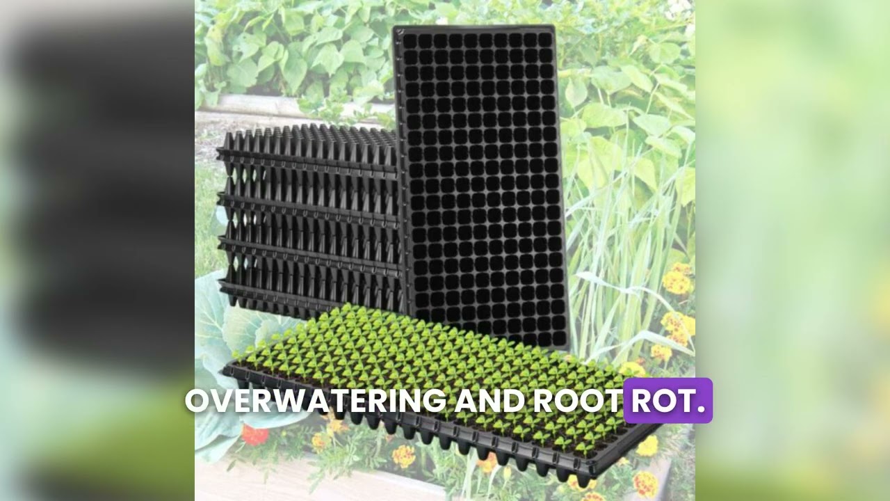 Grow Your Own Garden From Scratch 🌱