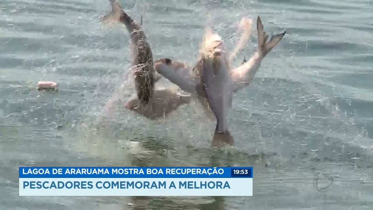 Lagoa de Araruama mostra boa recuperação