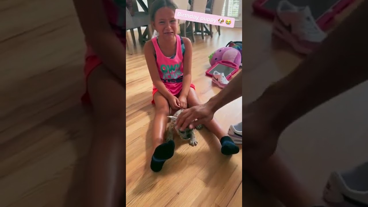 Girl Sobs When Parents Surprise Her With French Bulldog Puppy For Her Birthday - 1366917