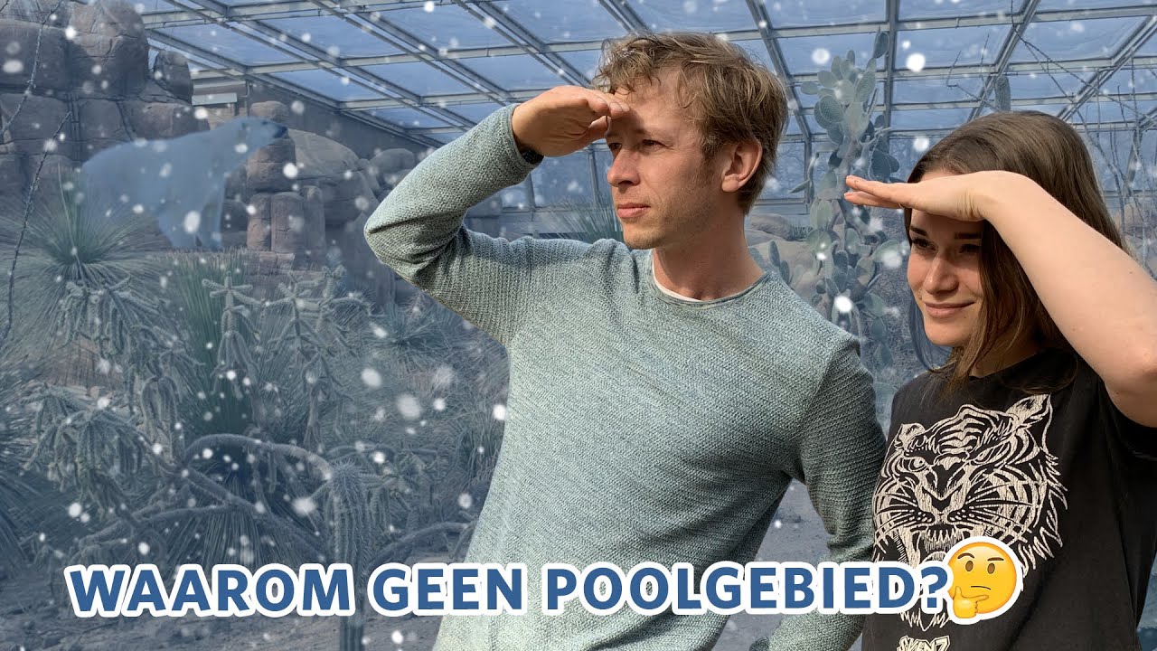 Waarom is er GEEN POOLGEBIED in BURGERS’ ZOO? ❄️