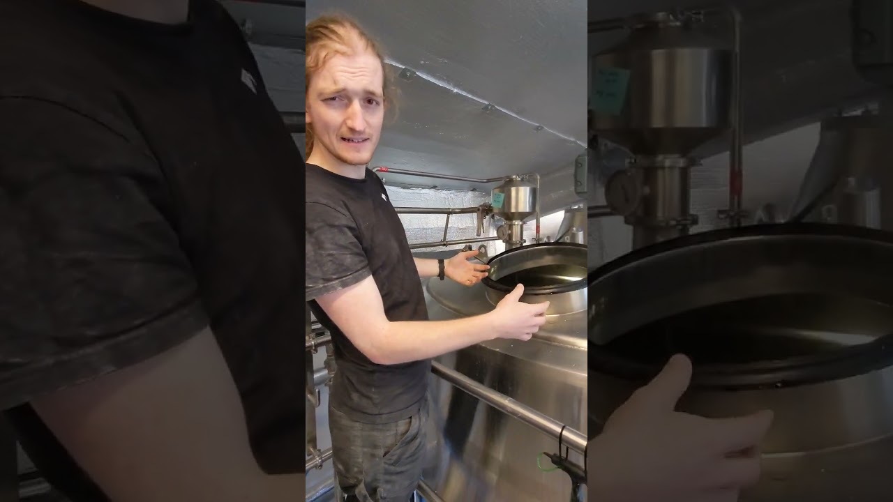 What Is Sparging? #shorts