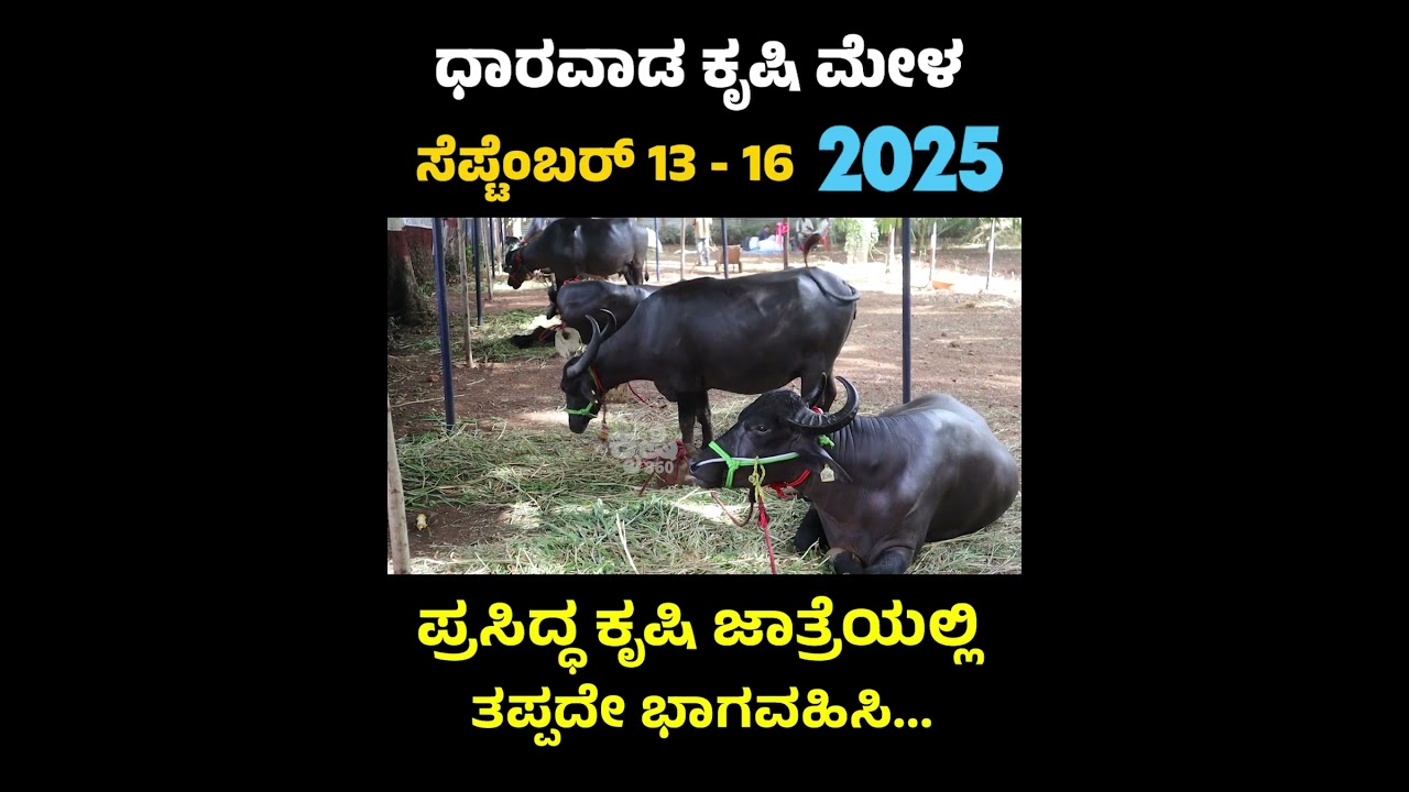 Dharwad KrishiMela-2025 | ಧಾರವಾಡ ಕೃಷಿ ಮೇಳ-2025 #krishimela #agriculture #farming