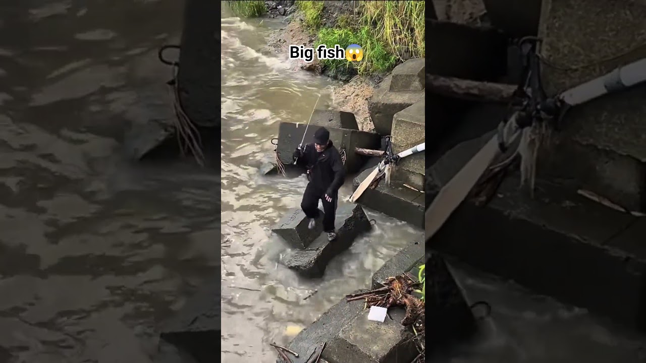 CASTING FISHING, A BIG FISH BITES😱  