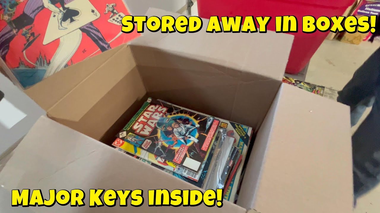 $100 for a Comic Book Collection | Blind Unboxing and LOOK what we FOUND!