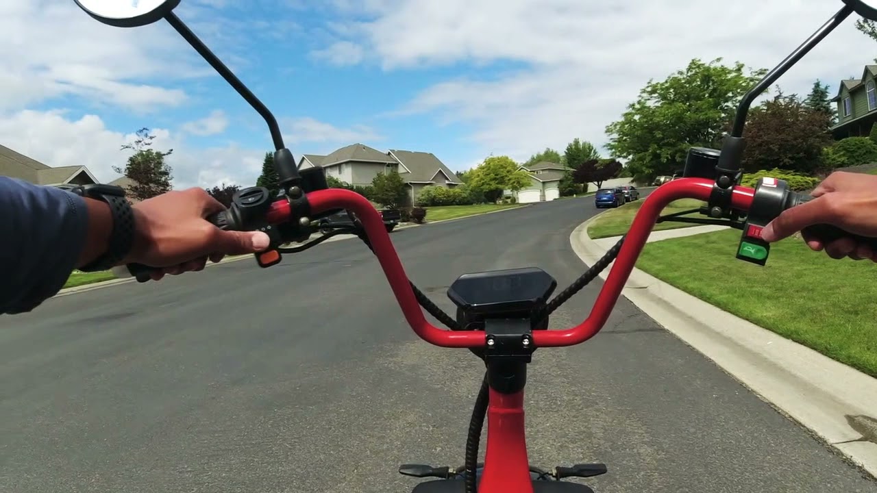 Fat Bear Cub Scooter ride