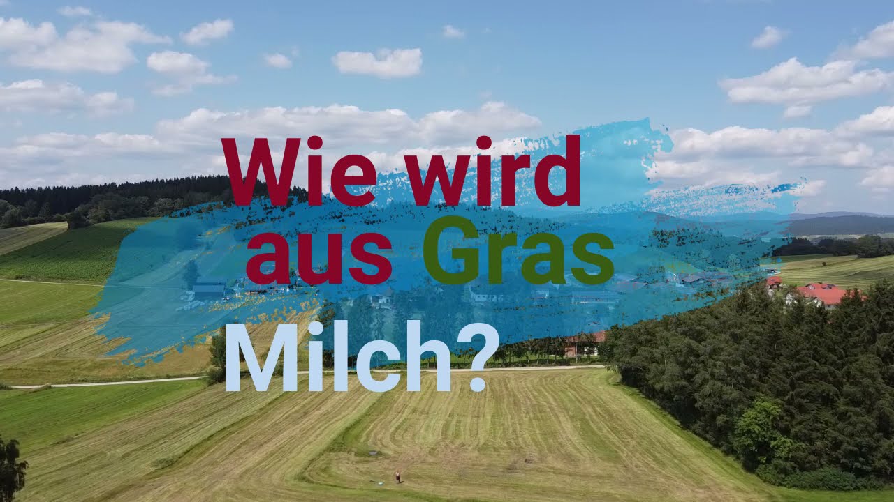 Wie wird aus GRAS MILCH? Diese Frage kl&auml;ren wir in diesem Video auf einem Bauernhof in Bayern.