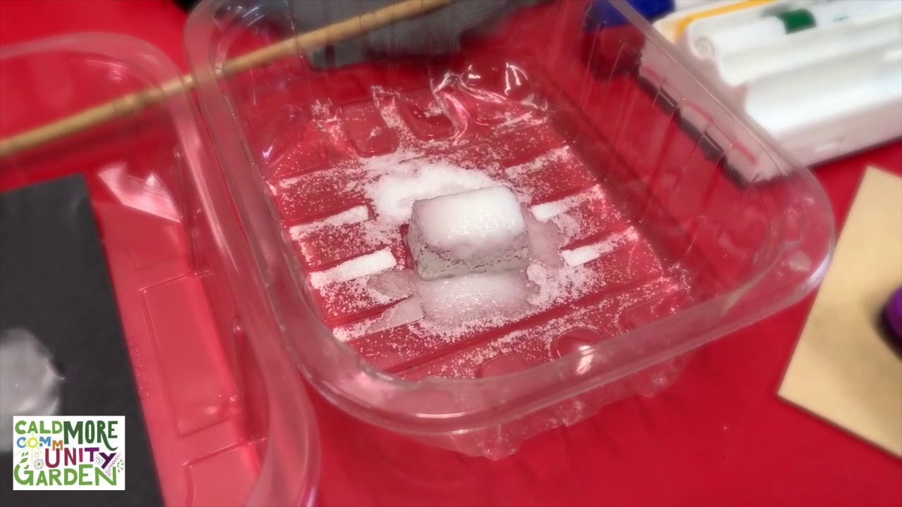 Science Wednesdays with Fiona and Albert - Ice Race and Keep It Cool