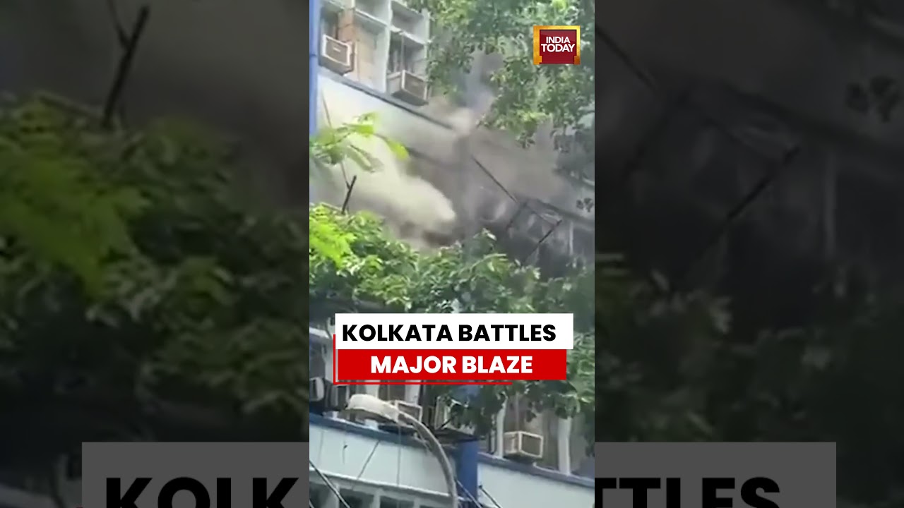 WB News: Kolkata Battles Major Blaze | Fire Breaks Out at South 24 Parganas Zilla Parishad Office