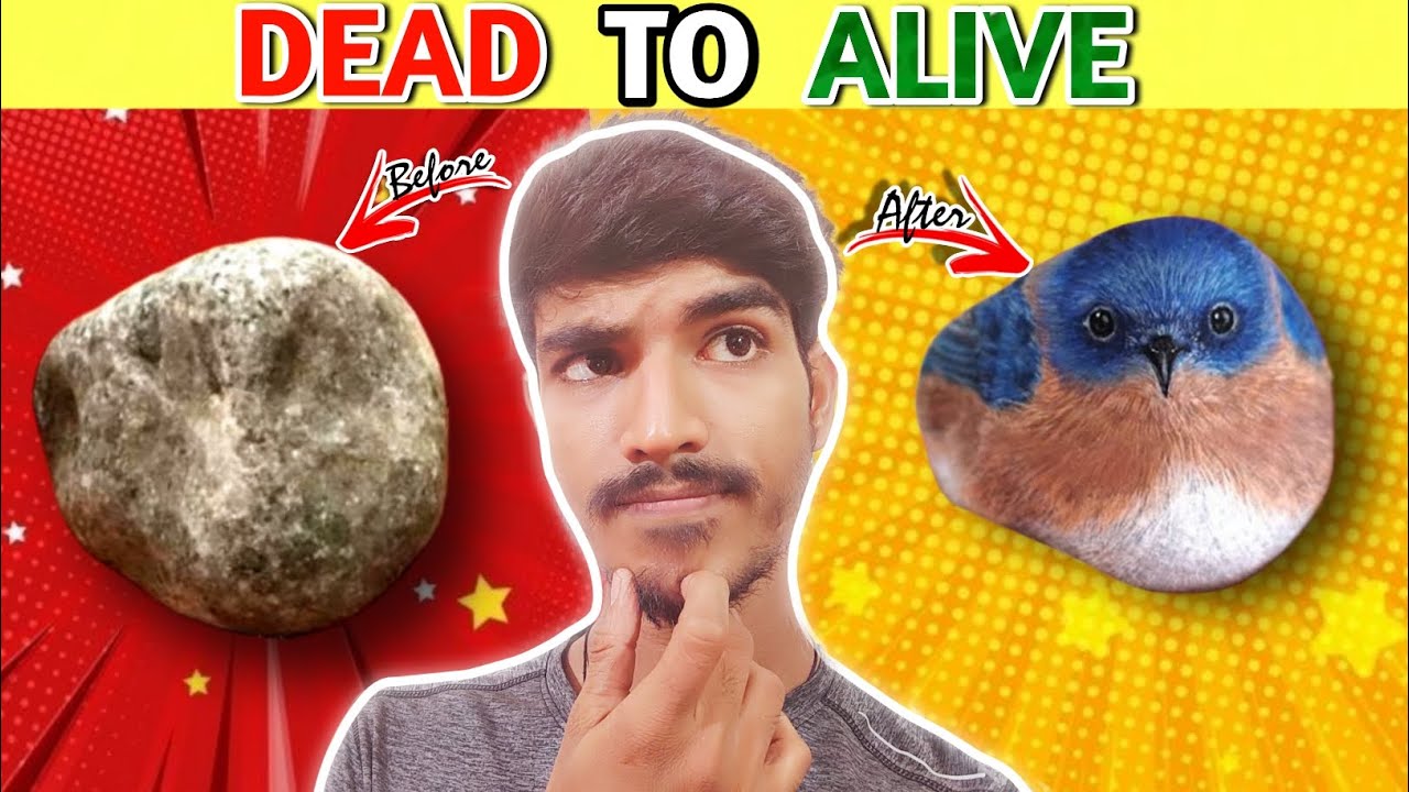 पत्थर से पक्षी बन गया 😱 | amazing facts 