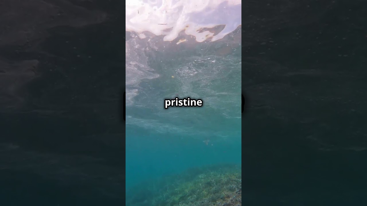 Discover South Korea's Best Beaches! 🌊🏖️