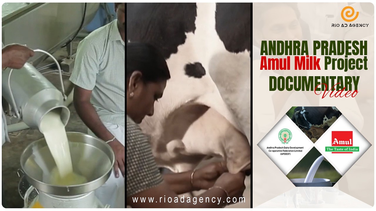 Best Documentary Film | Andhra Pradesh Amul Milk Project Documentary | RIO Advertising Agency