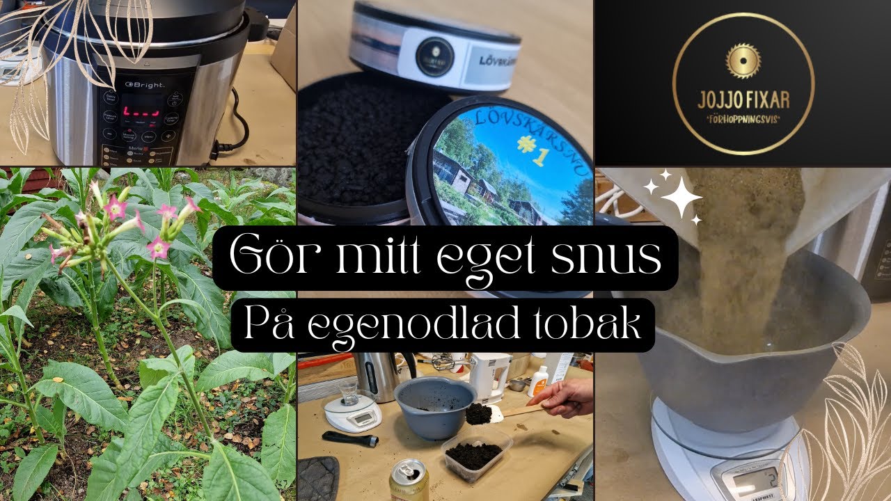 Del 4: Gör mitt eget snus på egenodlad tobak (i en tryckkokare / multicocker från Jula)