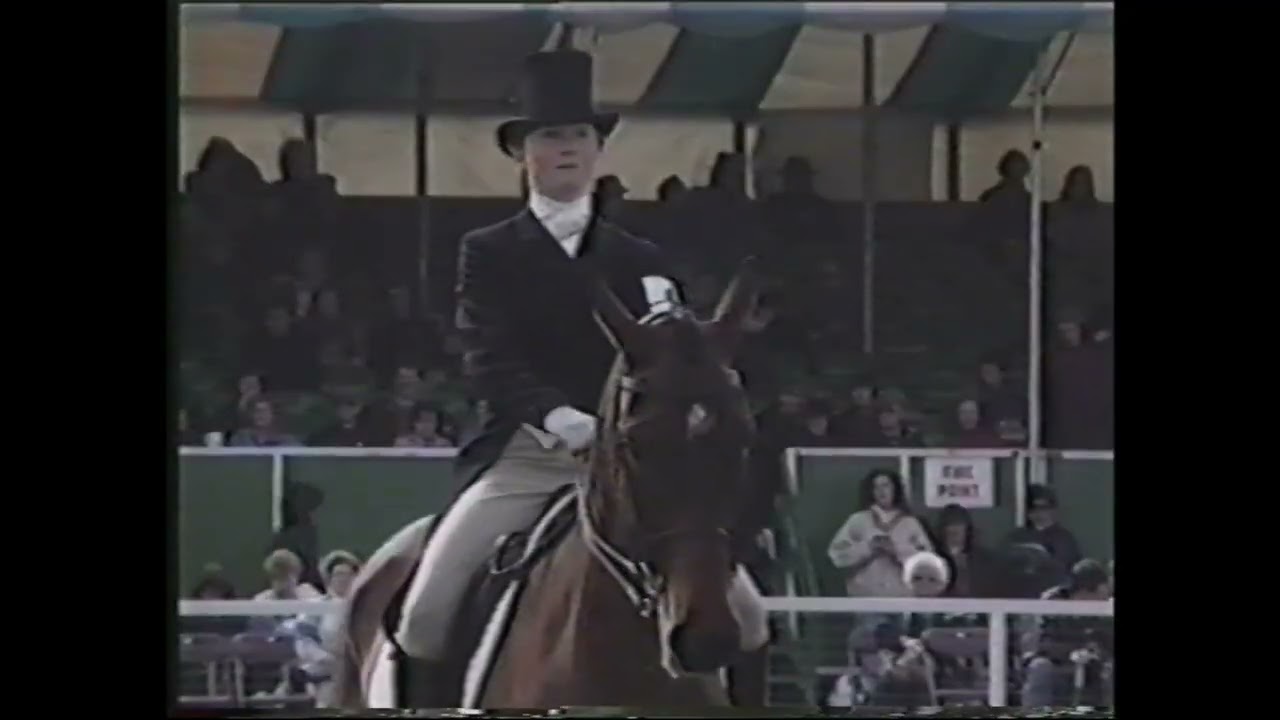 1991 Badminton