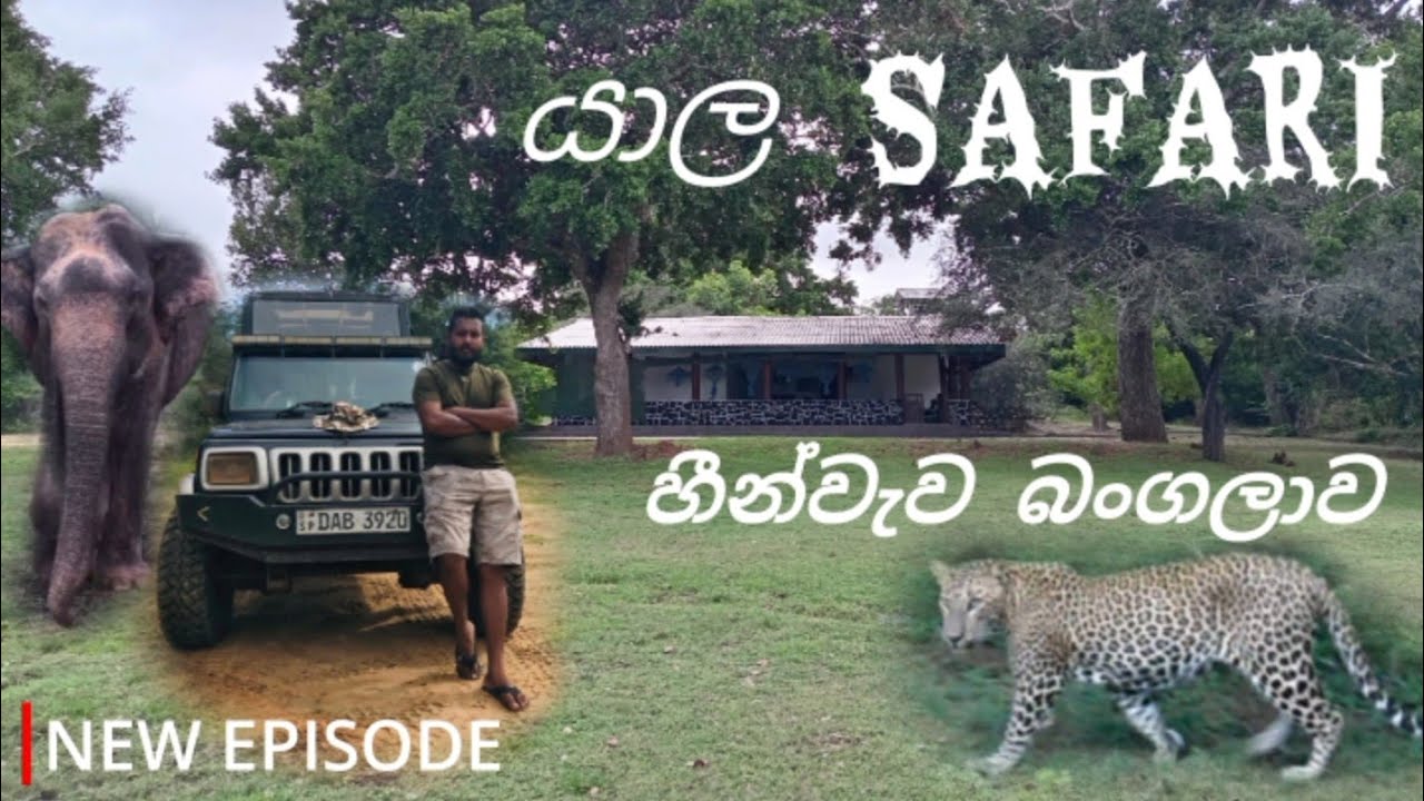 යාල ජාතික වනෝද්‍යානය | Yala Safari | Heenwewa Bungalow | @naturewildtraveller