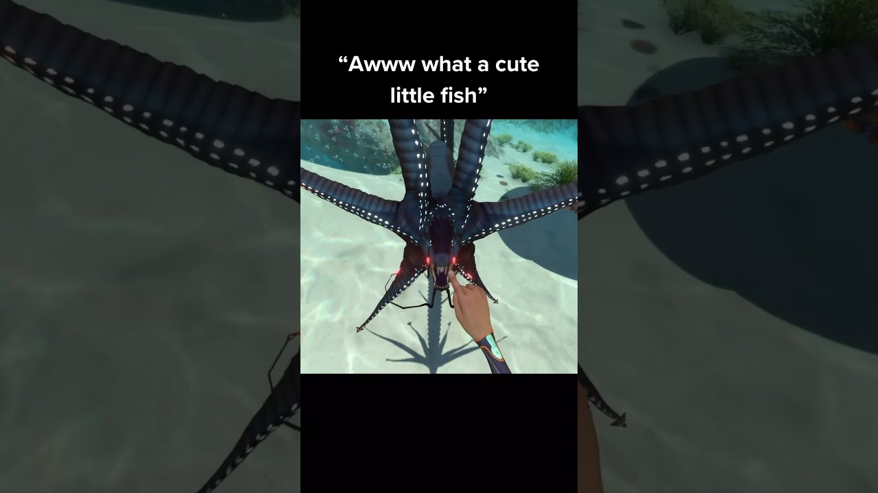 “Cute little fish” 💀 