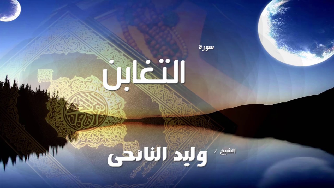 سورة  التغابن  | بصوت القارئ الشيخ وليد النائحى