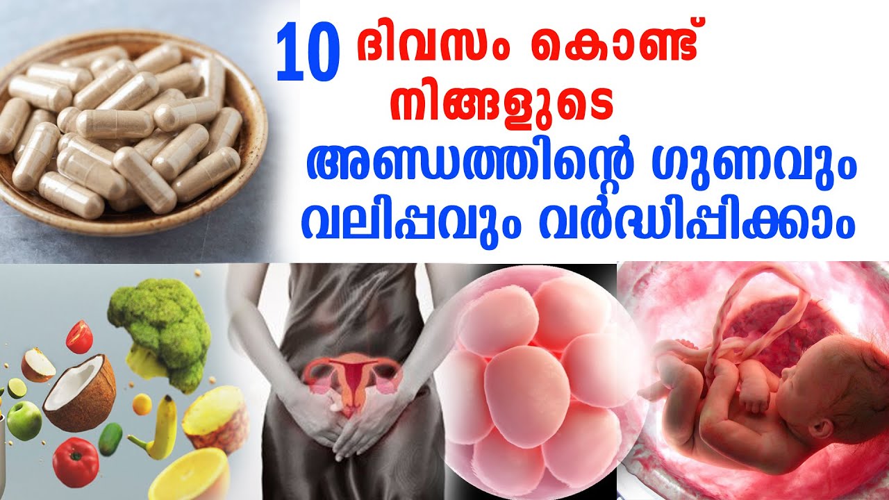 10 ദിവസം കൊണ്ട് നിങ്ങളുടെ അണ്ഡത്തിന്റെ ക്വാളിറ്റി വര്‍ദ്ധിപ്പിക്കാം Boost Egg Quality within 10 days
