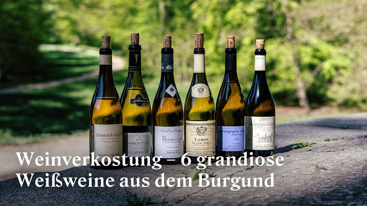 Weinverkostung | 6 grandiose Weißweine aus dem Burgund in der Online Weinprobe