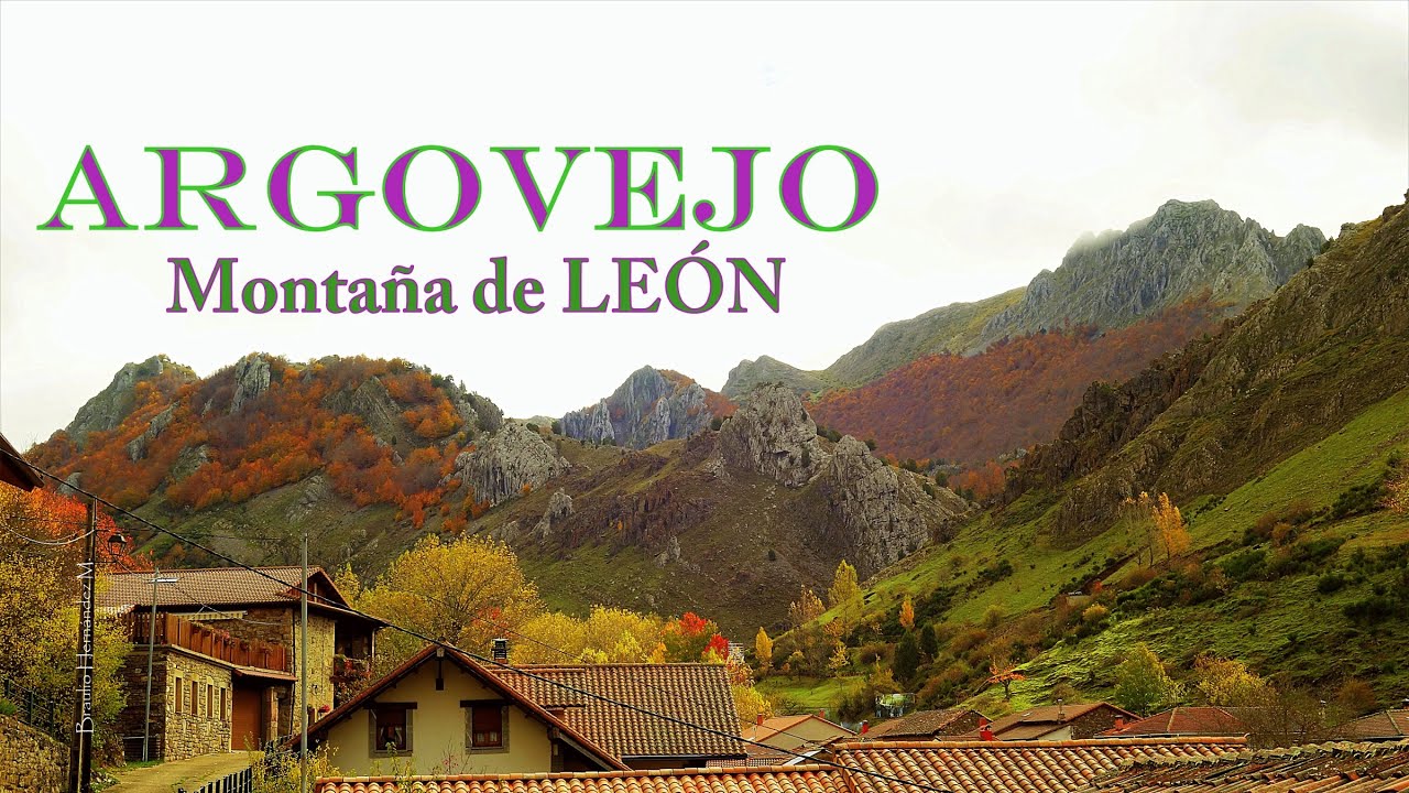 Hayedo de Argovejo, en otoño - Montaña Oriental Leonesa