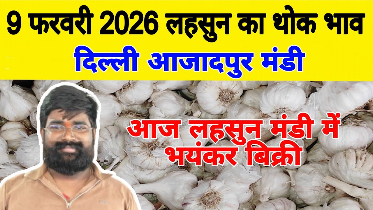 9 Feb 2026 | Today Garlic Market Price | Garlic Price The Shocking Prediction #mandirates #garlic