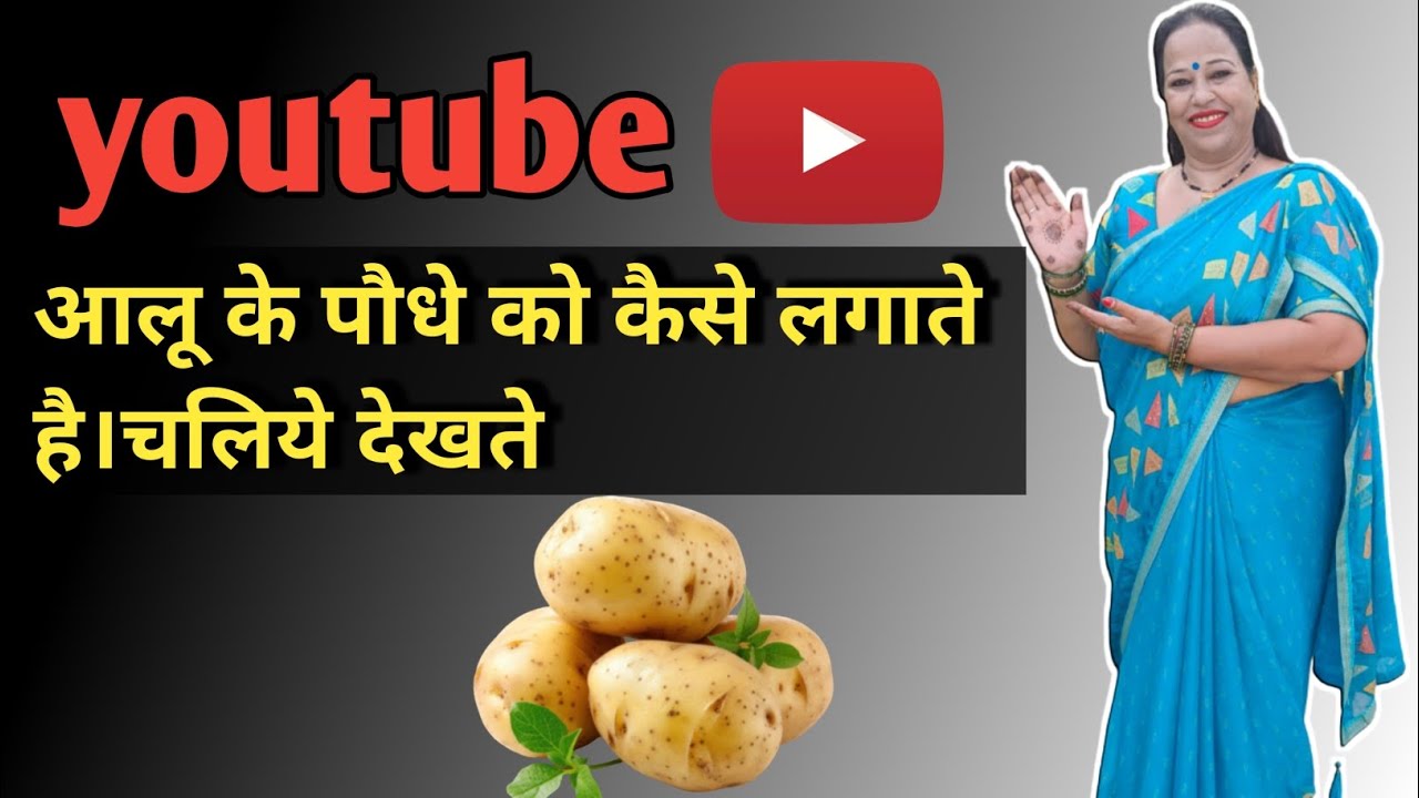 आलू के पौधे को कैसे लगाते है। चलिए देखते 🥔🪴 #family #farming #garden #youtube 