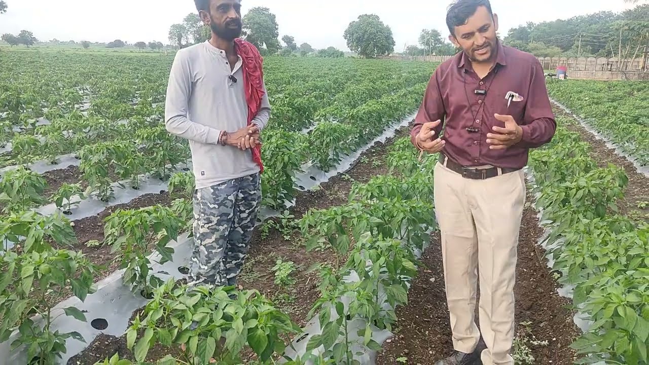 લોક સાહિત્યકાર ગુજરાતનું ગૌરવ એવા મહિપતસિંહ જાડેજા ના પ્રાકૃતિક ફાર્મ તોખાર જિમ ખાનાની મુલાકાત.