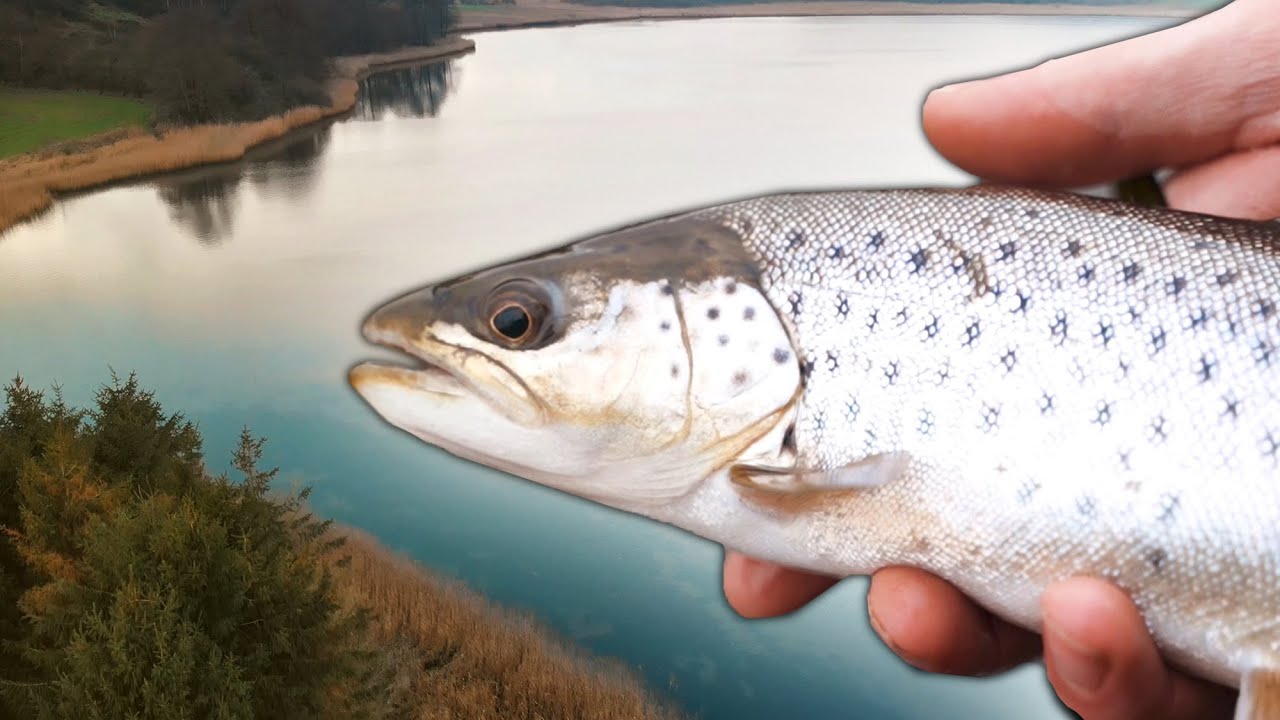 Sikre Fiskepladser Til Drilske Vinter Hav&oslash;rreder - Del 2/2: Fjordfiskeri!