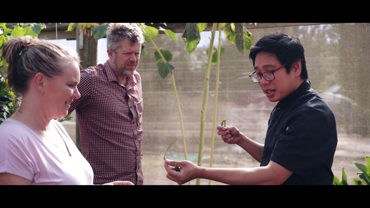 Asian Garden Cooking School 15 sec v2