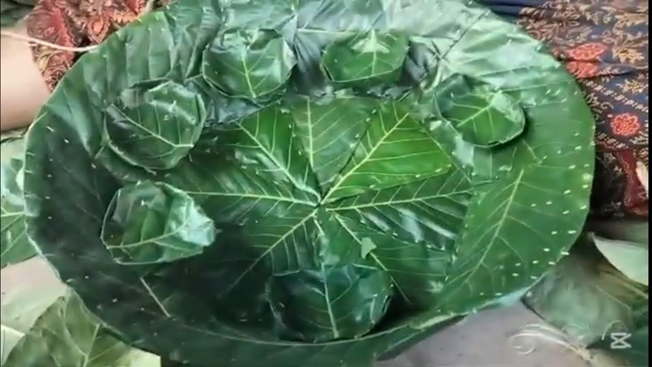 Loh sathy haru tihar lagyo hoi 🤗🤗#palpamuser 