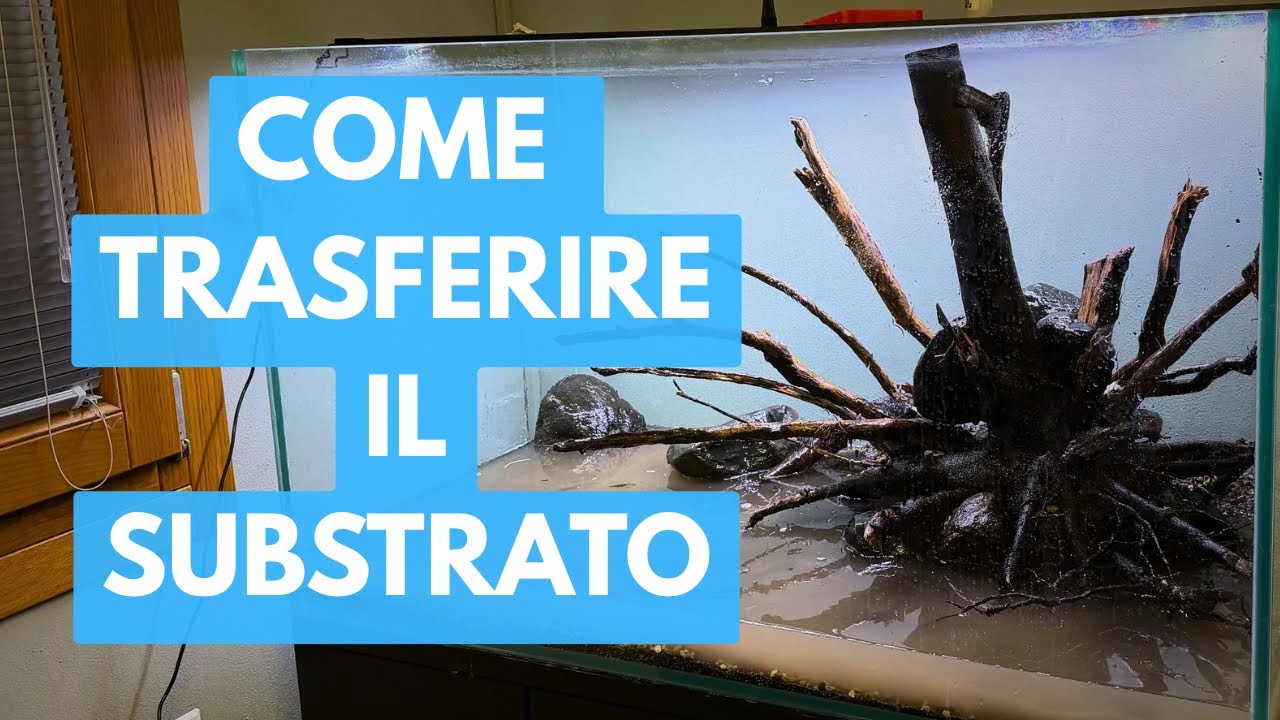 Come Riutilizzare il vecchio FONDO senza disastri!