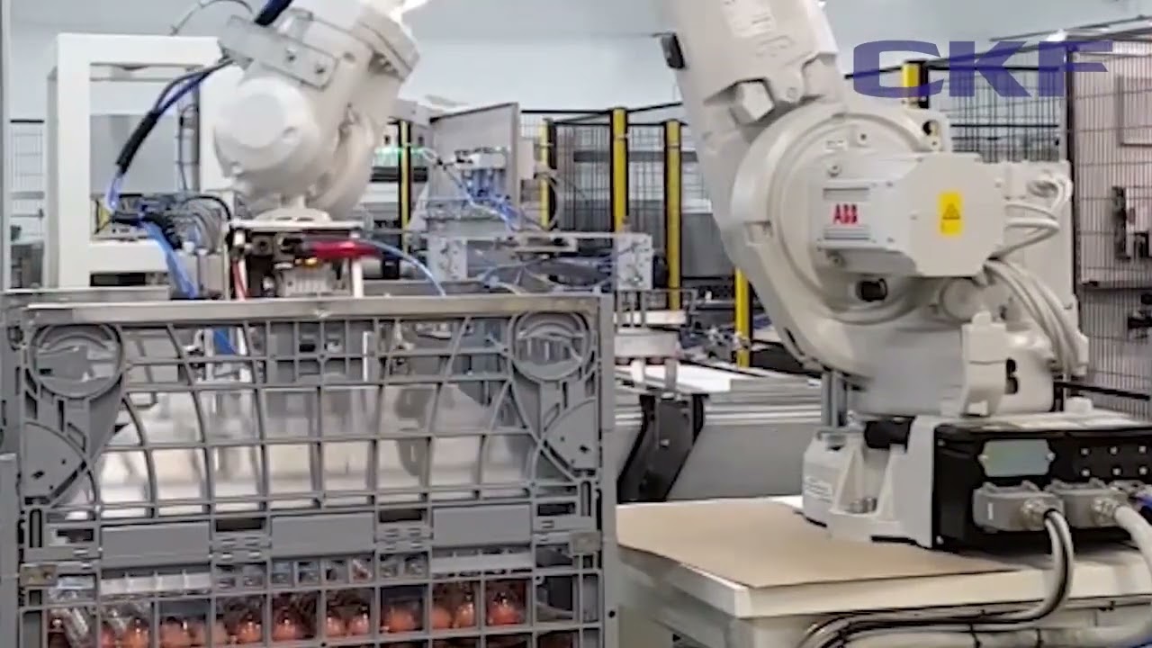 #Robotic Case and Dynamic Shipper Packing