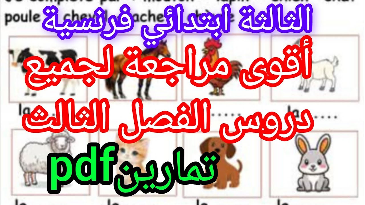 مراجعة قوية فالفرنسية للفصل الثالث لتلاميذ السنة الثالثة ابتدائي