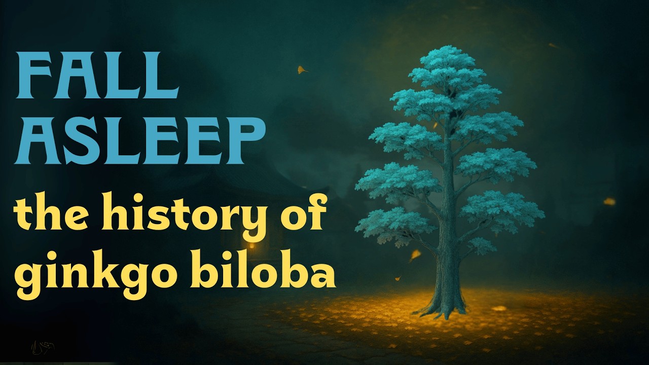 Sleepy History of the Gingko Biloba Tree | Oldest Tree in the World?