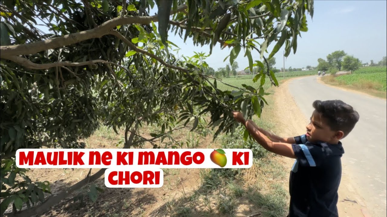 Maulik ne ki Mango 🥭 ki chori | Trip with family