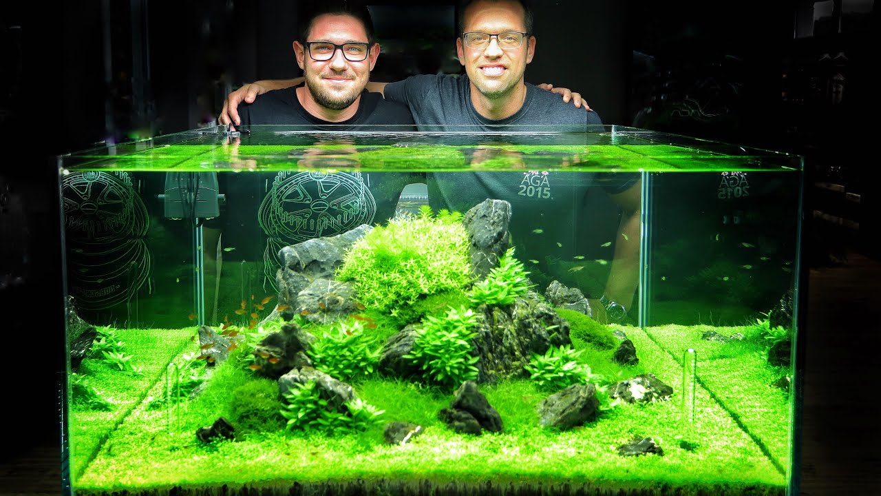 360 degree Nature Aquarium at Green Aqua